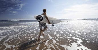 language camp surfing